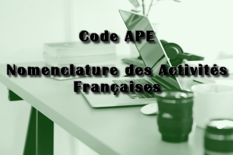 Code APE Nomenclature des activités françaises