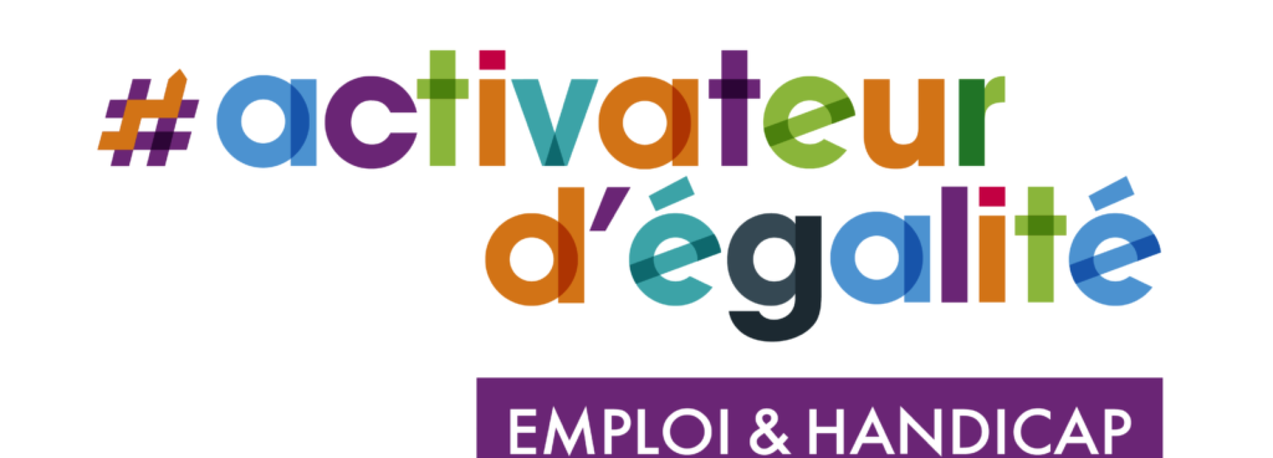 Emploi et Handicap #Activateurd'égalité